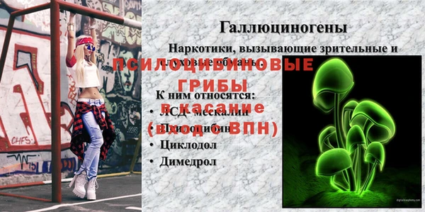 МДПВ Абдулино