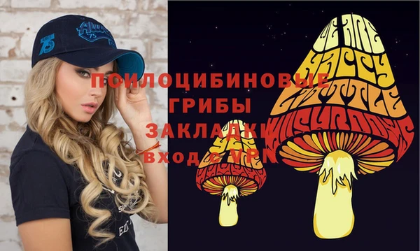 МДПВ Абдулино
