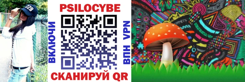 где продают наркотики  Правдинск  MEGA   Галлюциногенные грибы Magic Shrooms 
